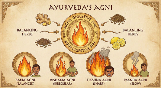 Ayurvedic Digestion Explained: Understanding Agni & Balance