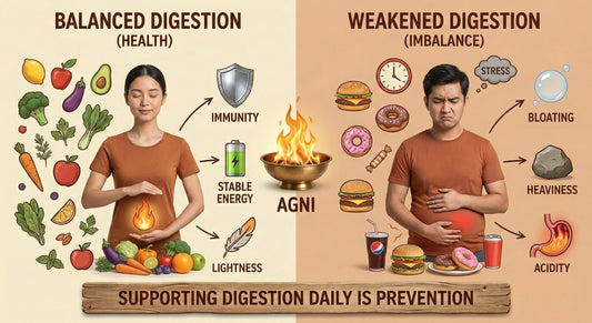 Digestion Health Explained: Why a Strong Digestive System Matters