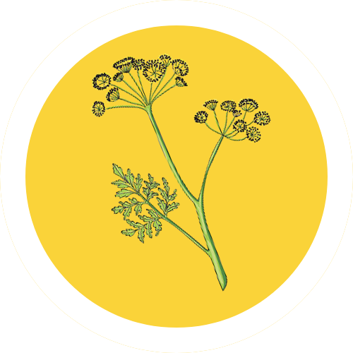 Asafoetida
