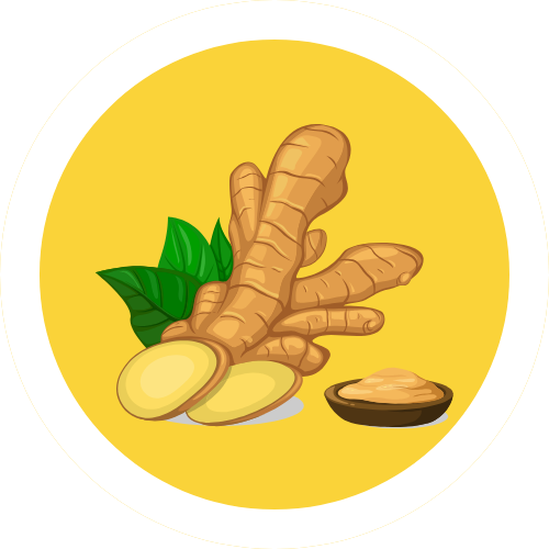Ginger