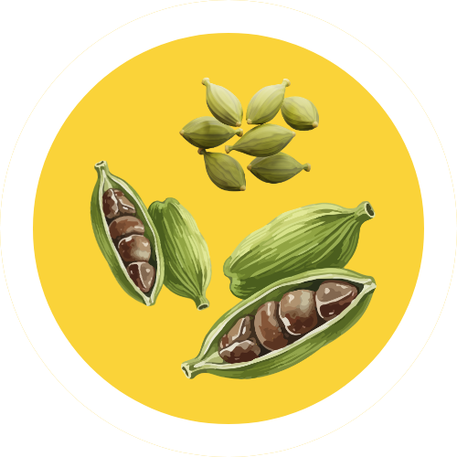 Cardamom