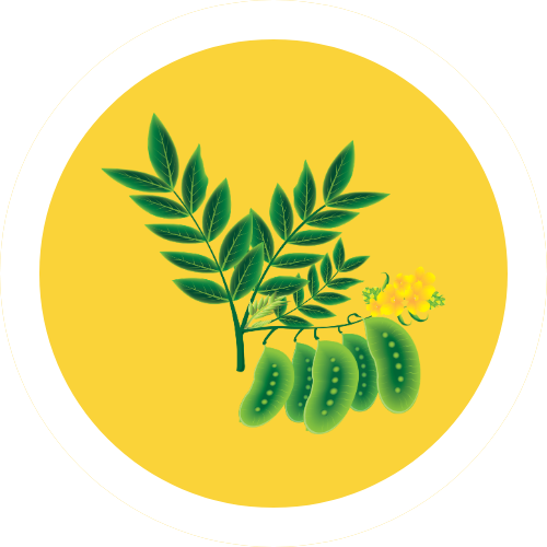 Senna Leaf