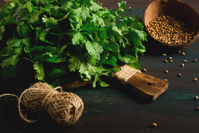 Dhaniya (Coriander)
